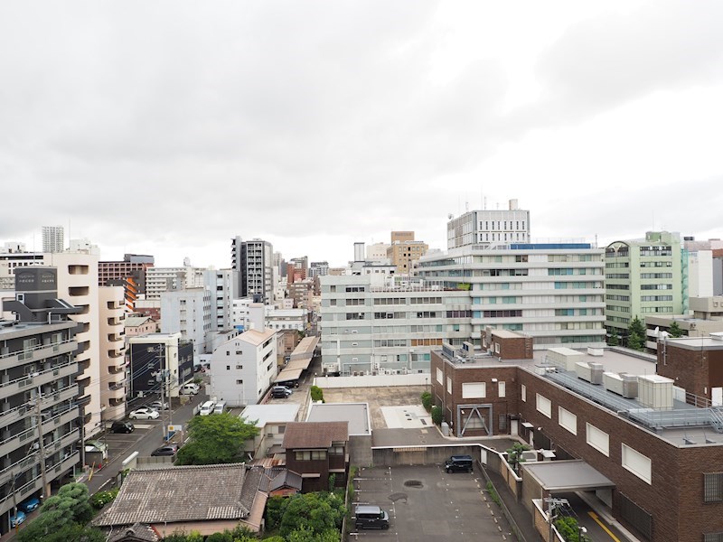 アーリントン 眺望