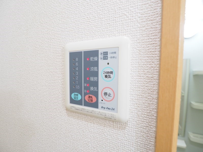 エヴァーグリーンＮ その他