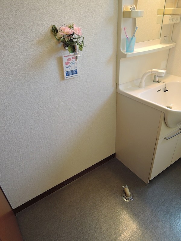 ピースガーデンワカゾノ 洗面所