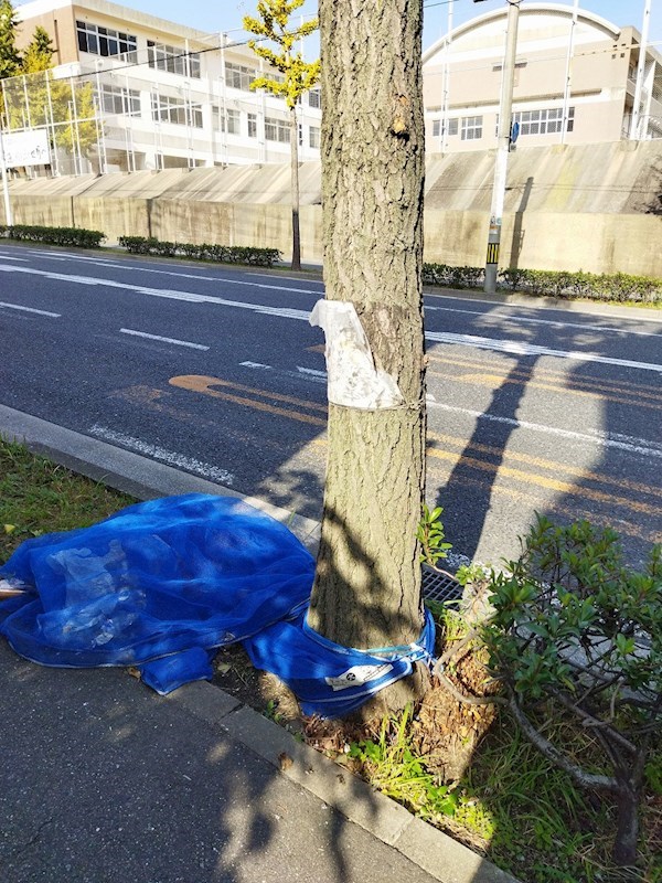 ハイツ下到津 その他共有部分