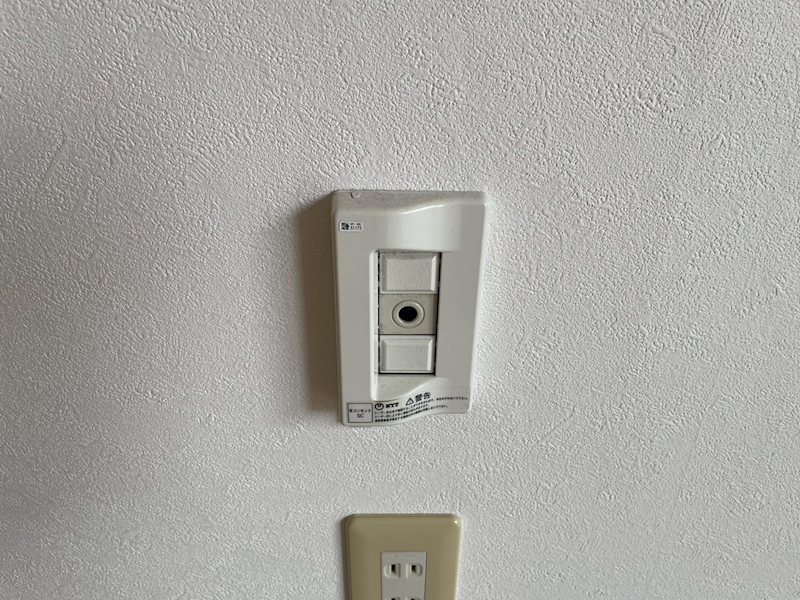 チェリー その他