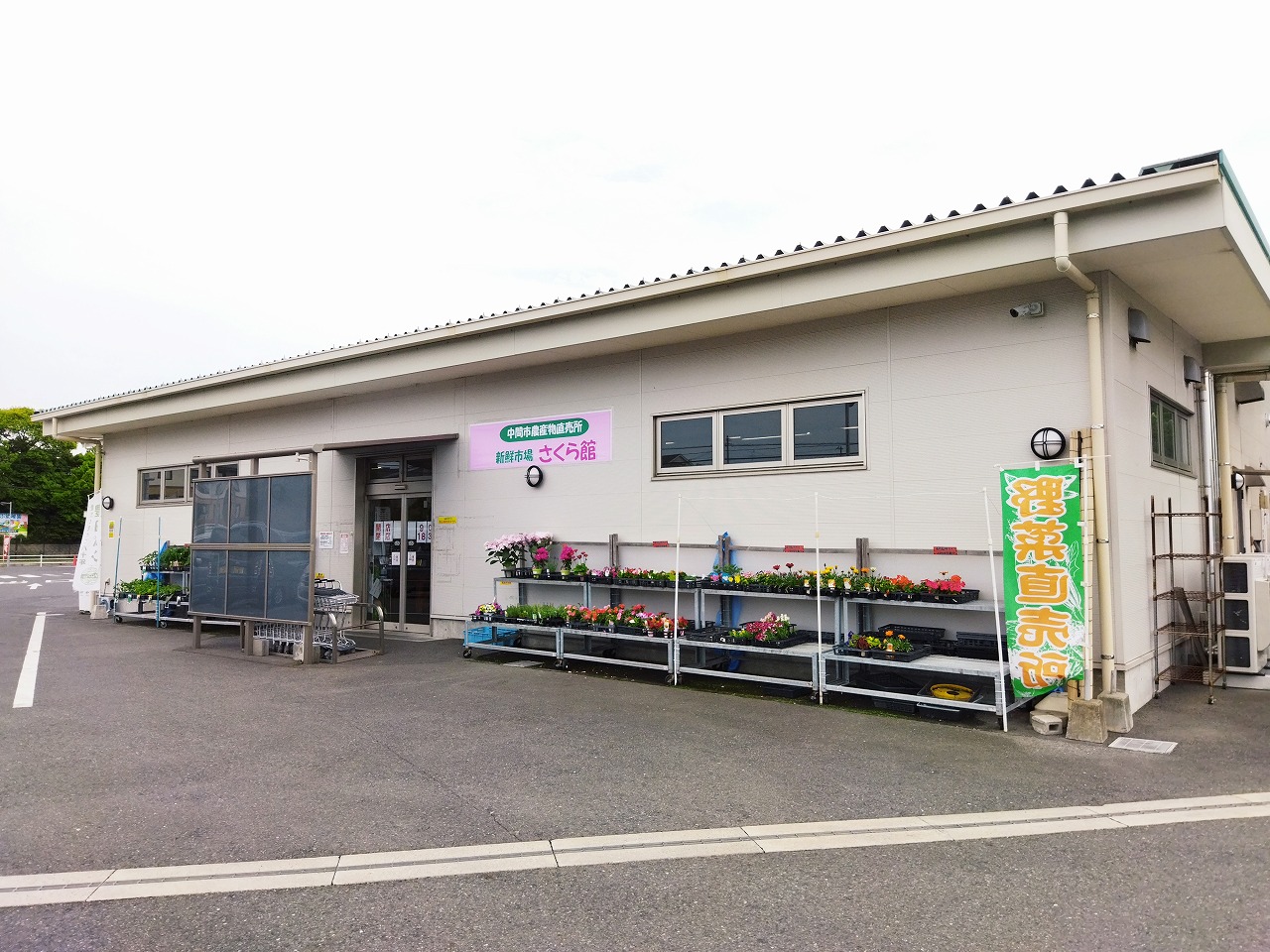 ヴィラナリー中間Ⅱ5号棟 スーパー