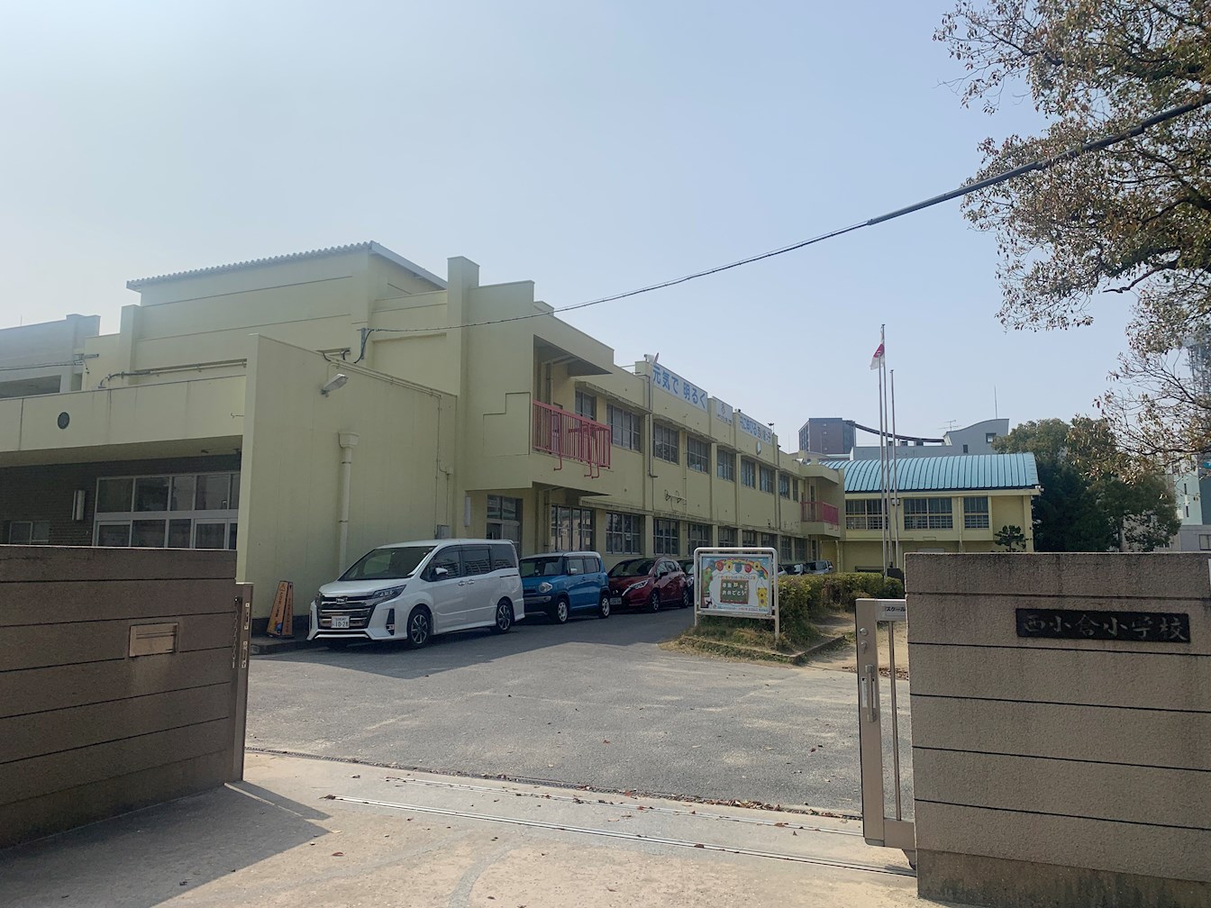 青葉ビル 小学校