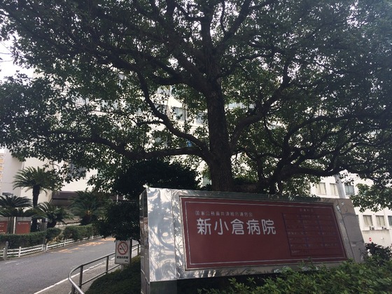 青葉ビル 総合病院