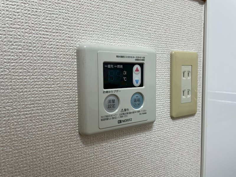 チェリー その他