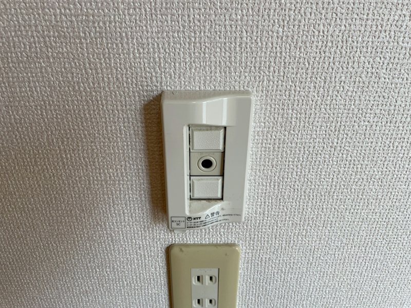 チェリー その他