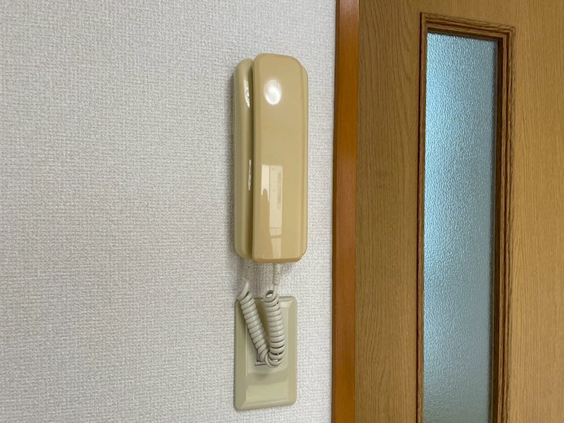 チェリー その他