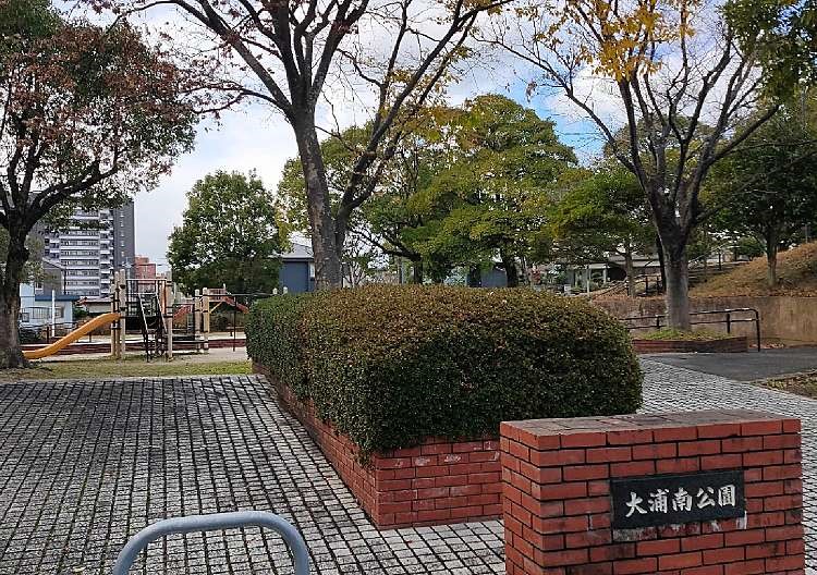 チェリー 公園
