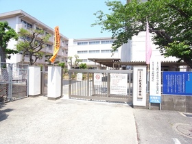チェリー 小学校
