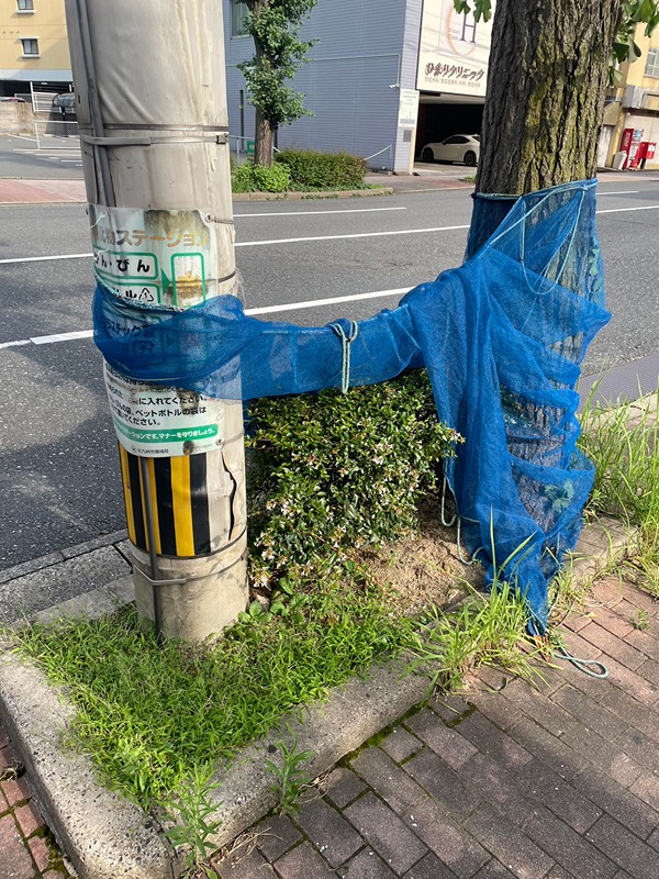 ダイナコート小倉下到津Ⅱ その他共有部分