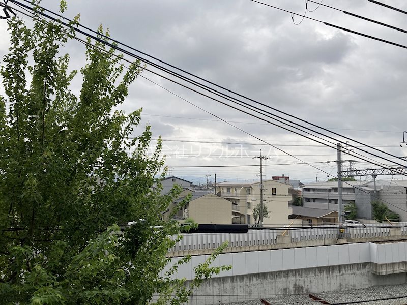 ロココ桂 その他5