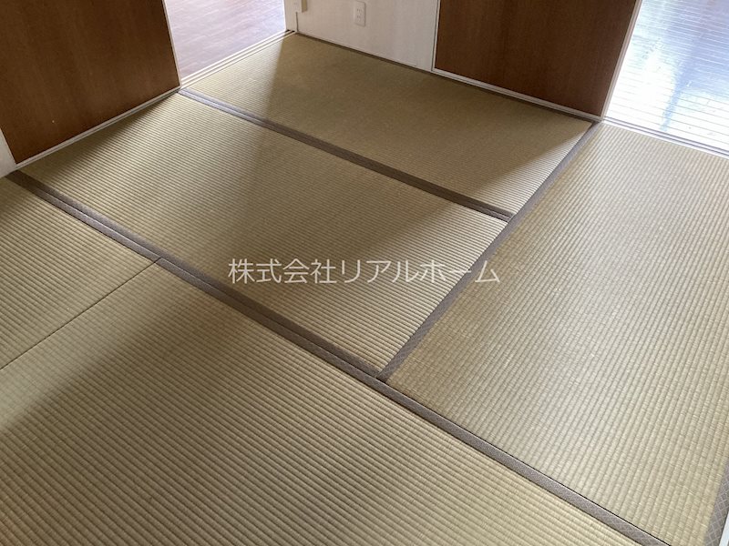 ロココ桂 その他17