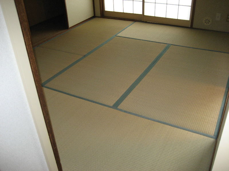 シャンポール蘭 その他5