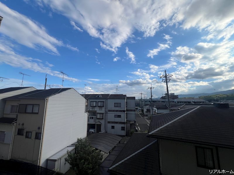 その他15