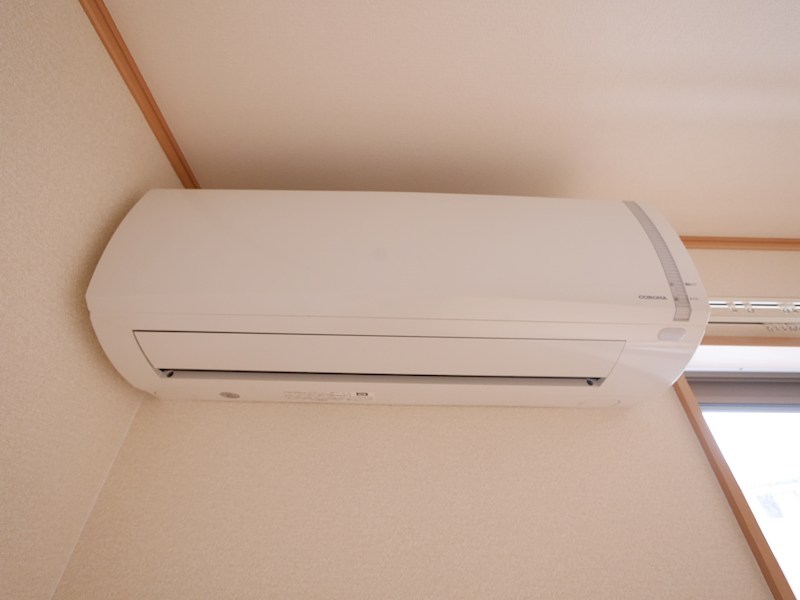 グローブタカマツ その他