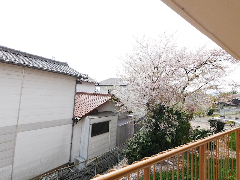 辻ハイツⅠ 眺望