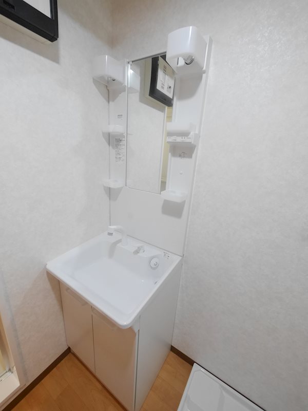 メゾン小西名坂3番館 洗面所