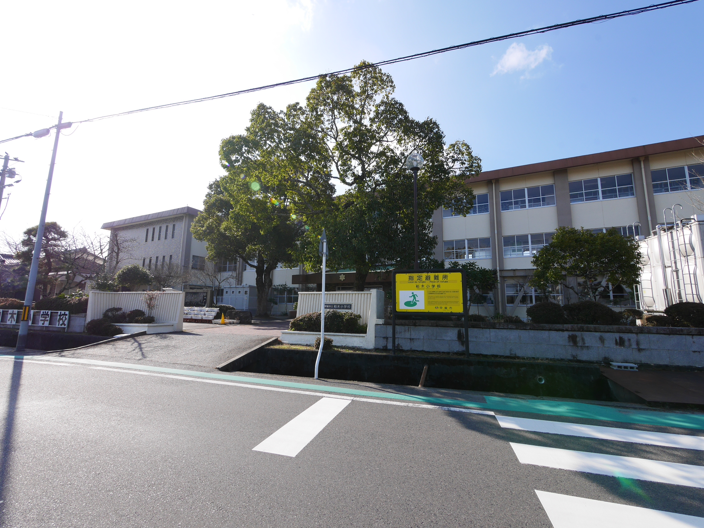 ドリームスクエア　F棟 小学校