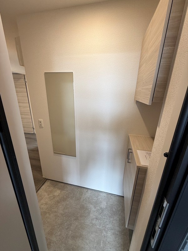 D-ROOM平井　C棟 玄関