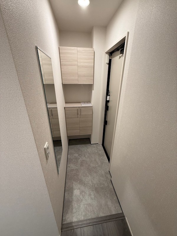 D-ROOM平井　C棟 玄関
