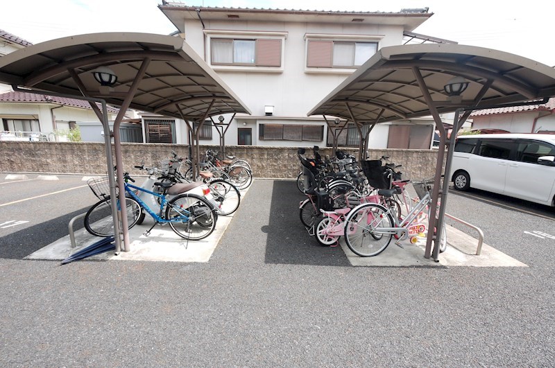 Radix　Tauchi　Ⅰ その他