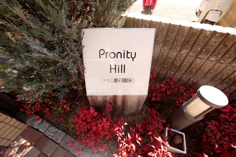 Pronity Hill（プロニティヒル） その他