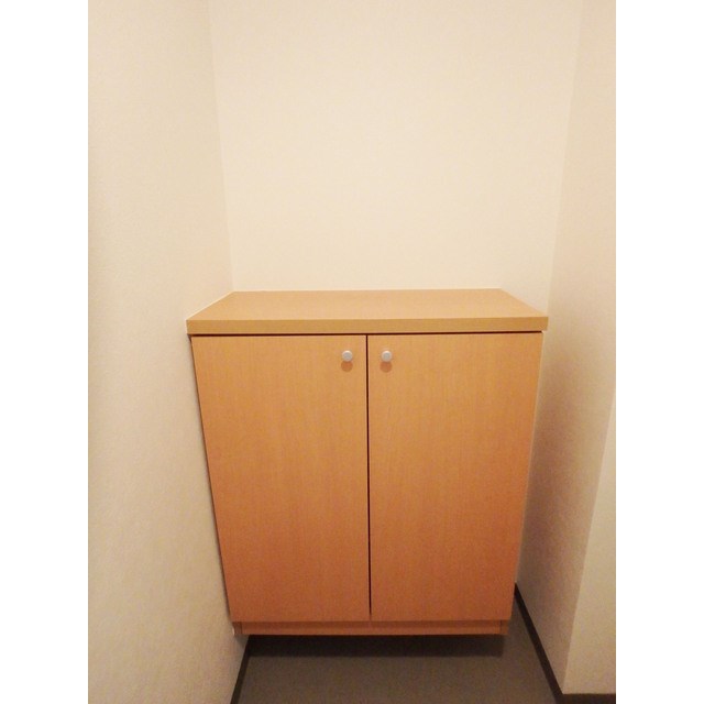 メゾンサンセリテ 玄関