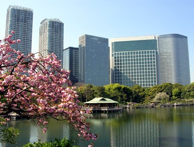 浜離宮恩賜庭園 パークウェル浜松町 周辺画像1