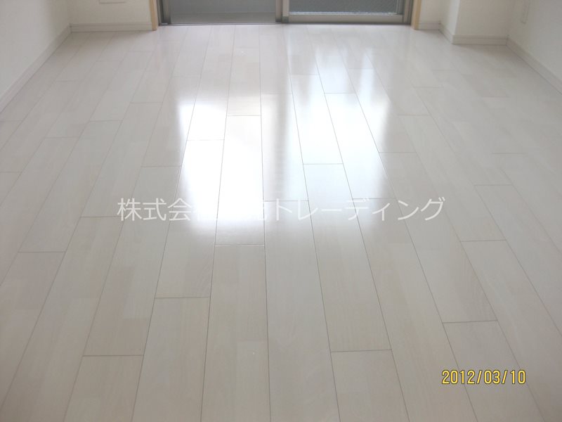 ﾃｨｱﾗ大崎 リビング