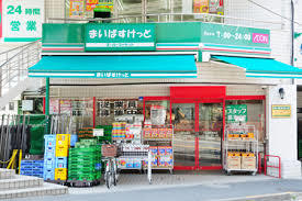 ﾄｰｼﾝﾌｪﾆｯｸｽ市谷柳町 周辺画像1
