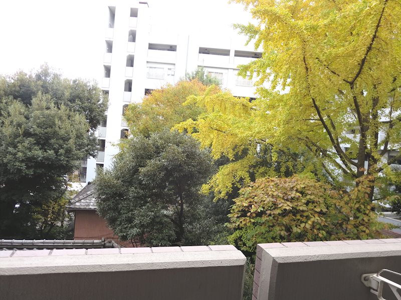 眺望 ステージファースト目白 その他2