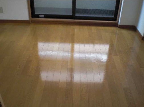 メインステージ護国寺Ⅱ リビング