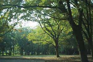 芦花公園 アフェクシオン南烏山 周辺画像5