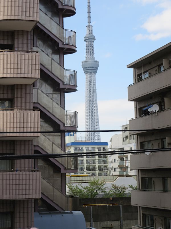 ﾀﾞｲｱﾊﾟﾚｽ錦糸町第3 その他5