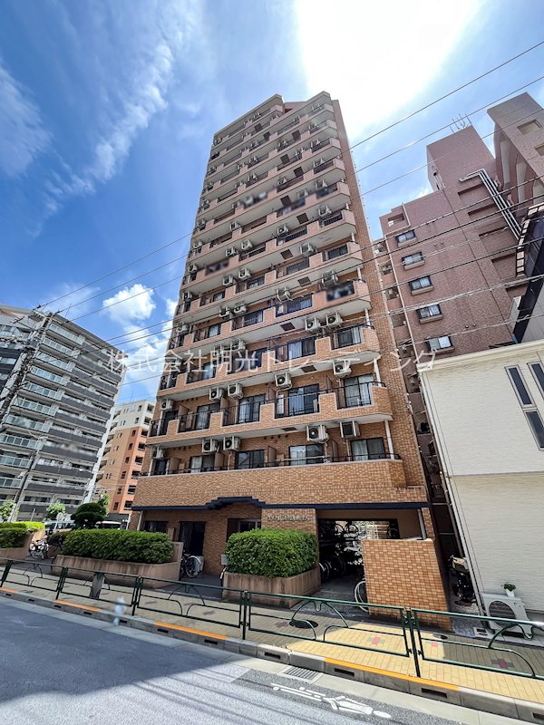ﾀﾞｲｱﾊﾟﾚｽ錦糸町第5 202号室 外観