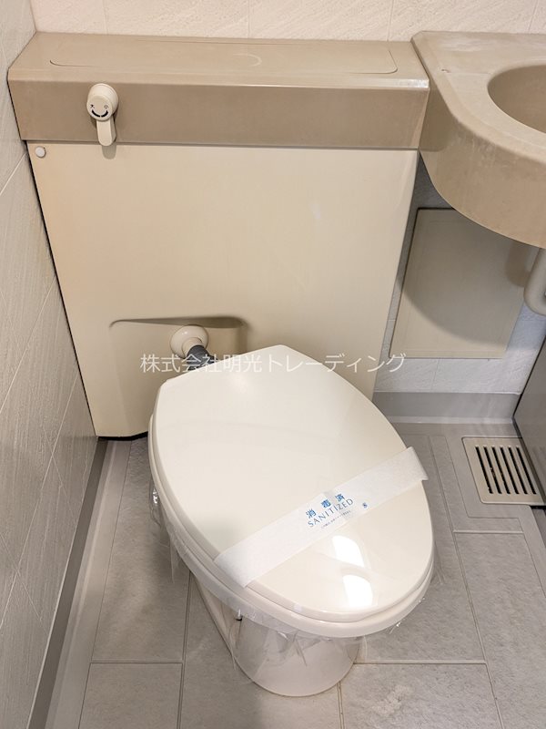ﾀﾞｲｱﾊﾟﾚｽ錦糸町第5 その他1