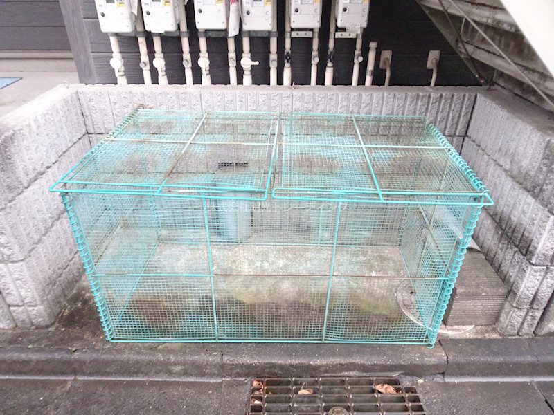 ﾌﾟﾘﾐｴｰﾙ古淵 その他外観3