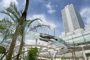 ﾊﾟｰｸｳｪﾙ目白 周辺画像2