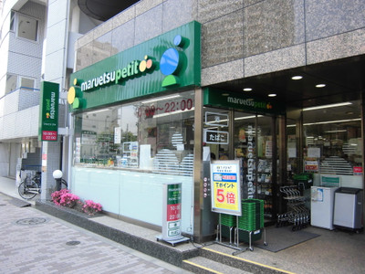 マルエツプチ パレステュディオ文京根津 周辺画像2