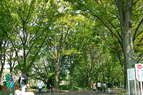 駒沢公園 ル・リオン三軒茶屋Ⅱ 周辺画像10