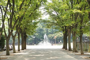 世田谷公園 ル・リオン三軒茶屋Ⅱ 周辺画像9