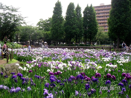 ｸﾞﾗﾝﾌｫｰｽ北綾瀬 周辺画像5