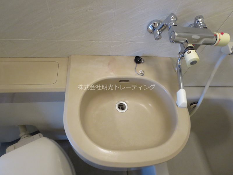 ﾀﾞｲｱﾊﾟﾚｽ錦糸町第5 その他2