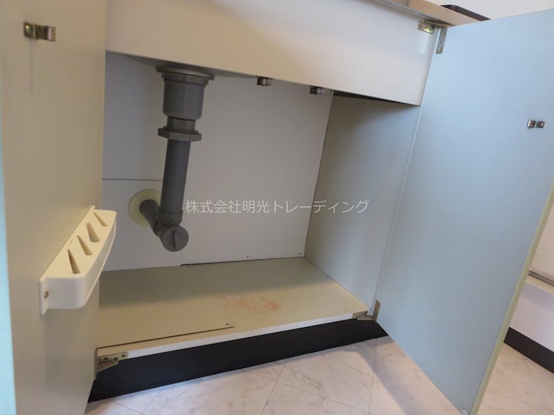 ﾀﾞｲｱﾊﾟﾚｽ錦糸町第5 その他4