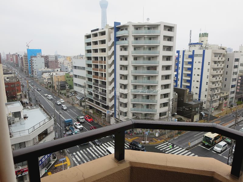 ﾀﾞｲｱﾊﾟﾚｽ錦糸町第5 その他6