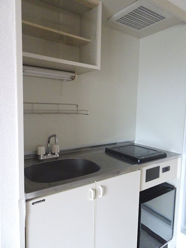 ﾀﾞｲｱﾊﾟﾚｽ錦糸町第5 その他10