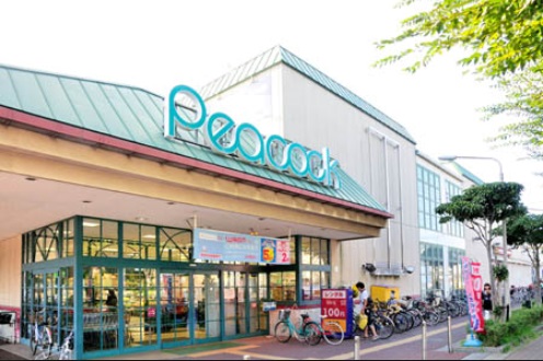 ｴﾙﾐﾀｰｼﾞｭ南阿佐ヶ谷弐番館 周辺画像5