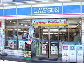 ローソン ステージグランデ南麻布 周辺画像3
