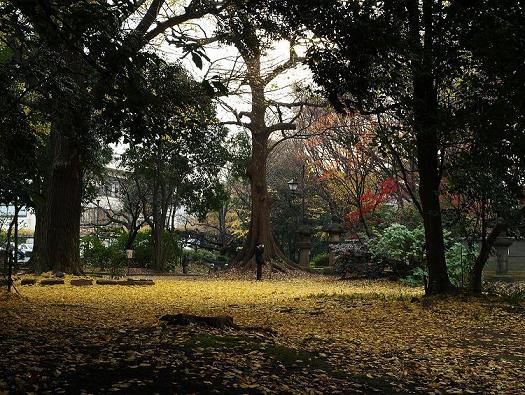 上野恩賜公園 パトゥーロ御徒町チッタ 周辺画像5