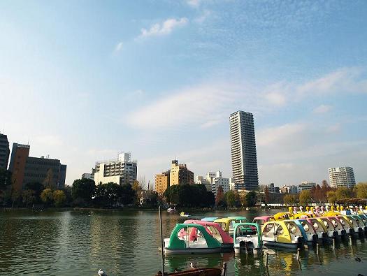 不忍池 パトゥーロ御徒町チッタ 周辺画像6